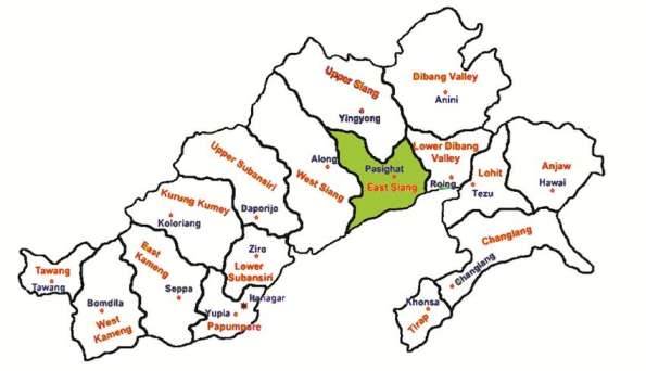 How many languages are spoken in arunachal pradesh ?