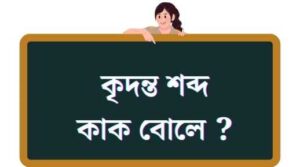 শব্দ কাক বোলে ? 2024 2 কৃদন্ত শব্দ কাক বোলে ?